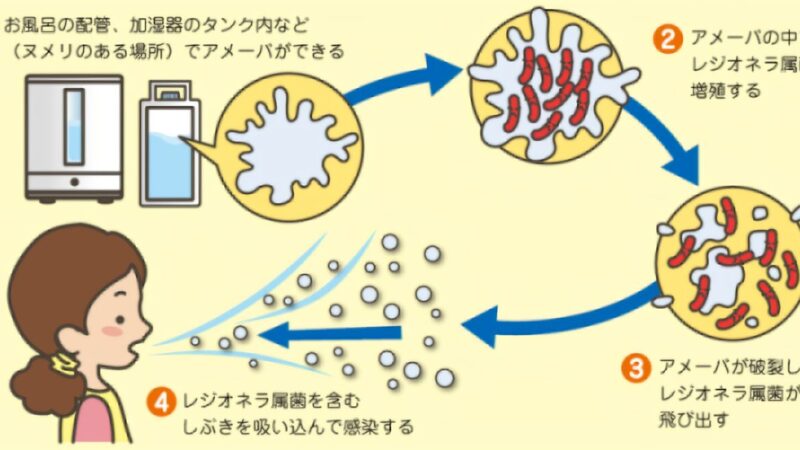 レジオネラ菌に要注意